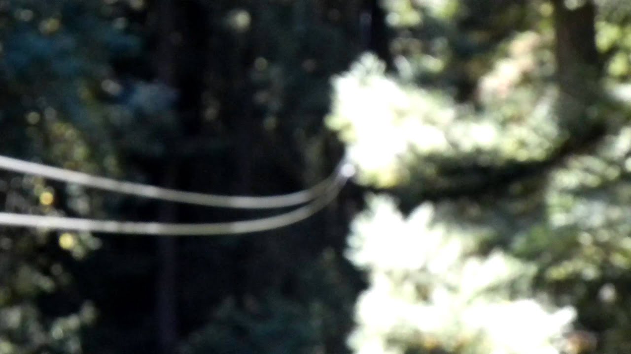 Mount Hermon Zip Line YouTube