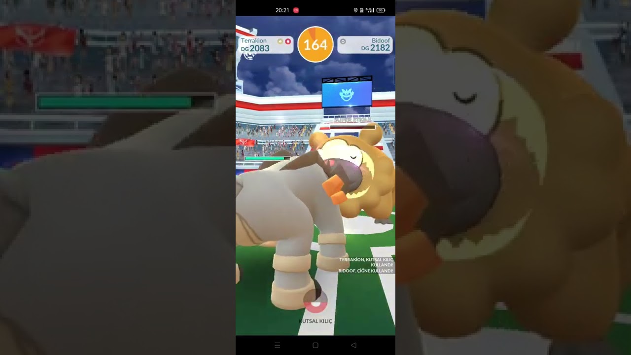 How to win Raid battle Bidoof