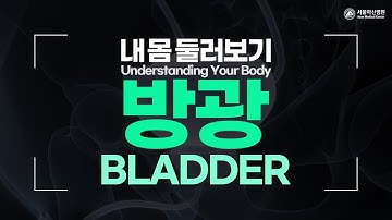 방광 [내 몸 둘러보기]