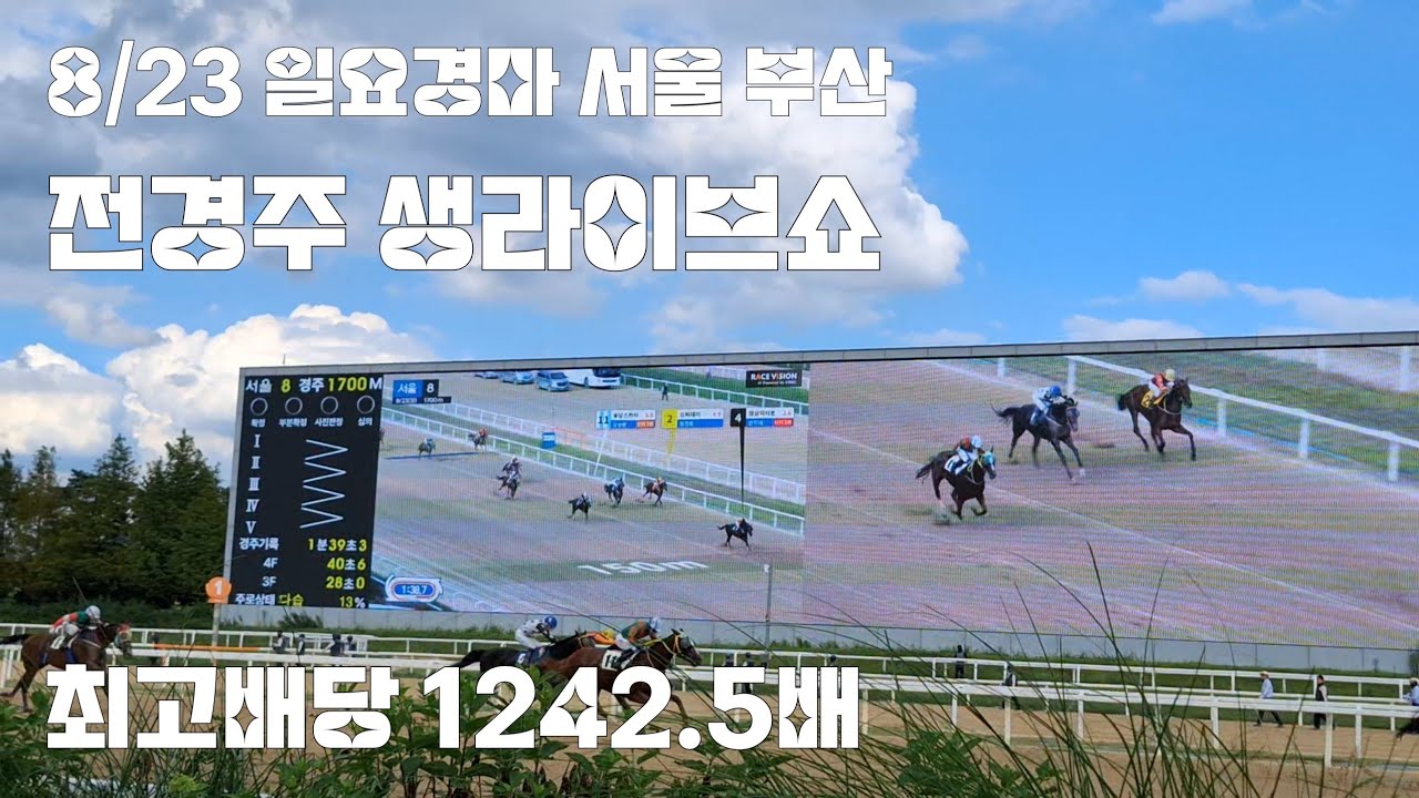 오늘경마 안돼네? 언제는됐니? (일요경마 서울 부산 전경주 생라이브쇼)
