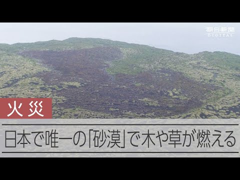 伊豆大島の観光名所「裏砂漠」で火災、25ヘクタール焼ける