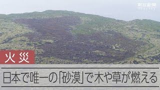 「日本唯一の砂漠」、25ヘクタール火災　6日朝は煙なし　伊豆大島