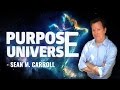 Purpose and the Universe : Sean M. Carroll
