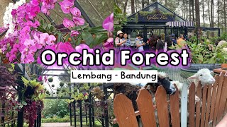 Orchid Forest Cikole Lembang Bandung | Wisata Keluarga 2024