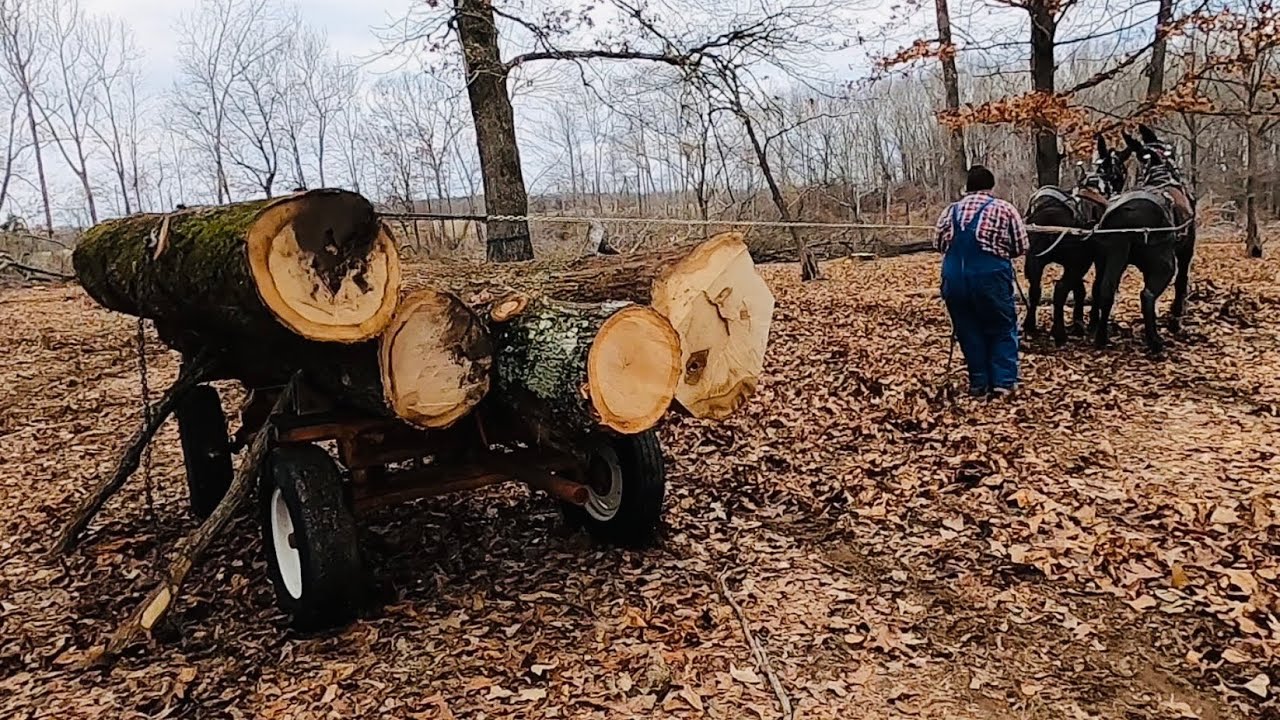 Let’s load the wagon..start to finish! #077