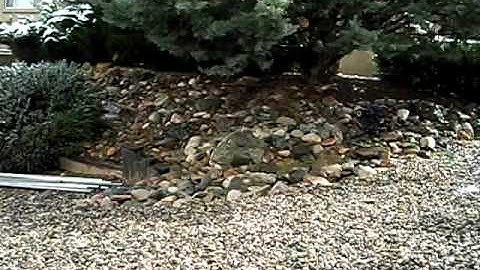 Redcat Rockslide RS10 Crawling In The Snow!!!...