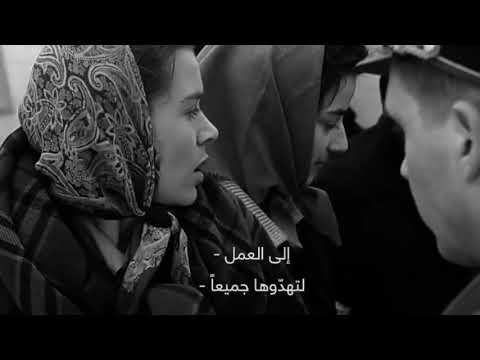 الثأر لا يأتي من شريعة الغاب العذراء