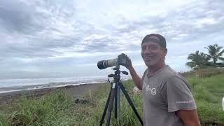 # Surfers from all over the World on Playa Hermosa, Costa Rica