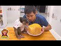 YoYo JR and dad try to make bread