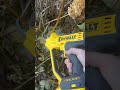 Yard Work Just Got WAY Easier with This Tool | Dewalt Pruning Shears