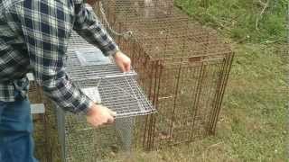 Types of Live Animal Traps - Part 1 - Large Traps