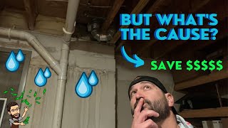 Water in Basement After Rain, Who to call and What can YOU Do!