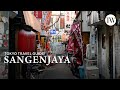 Tokyo Travel Guide: What to See and Do in Sangenjaya
