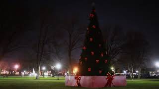 Carteret NJ 2020 Virtual Tree Lighting Ceremony