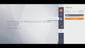 Using gotomeeting As a User