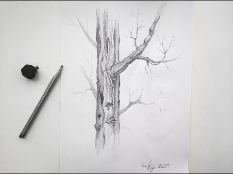 дерево карандашом графика