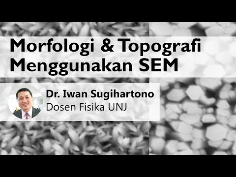 Morfologi & Topografi Menggunakan SEM bersama Dr. Iwan Sugihartono