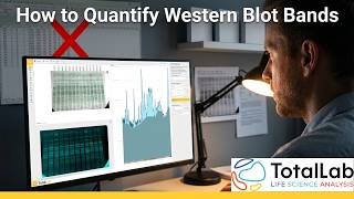 How to Quantify Western Blot Bands in 2026 (Without ImageJ, Image Lab or Excel)