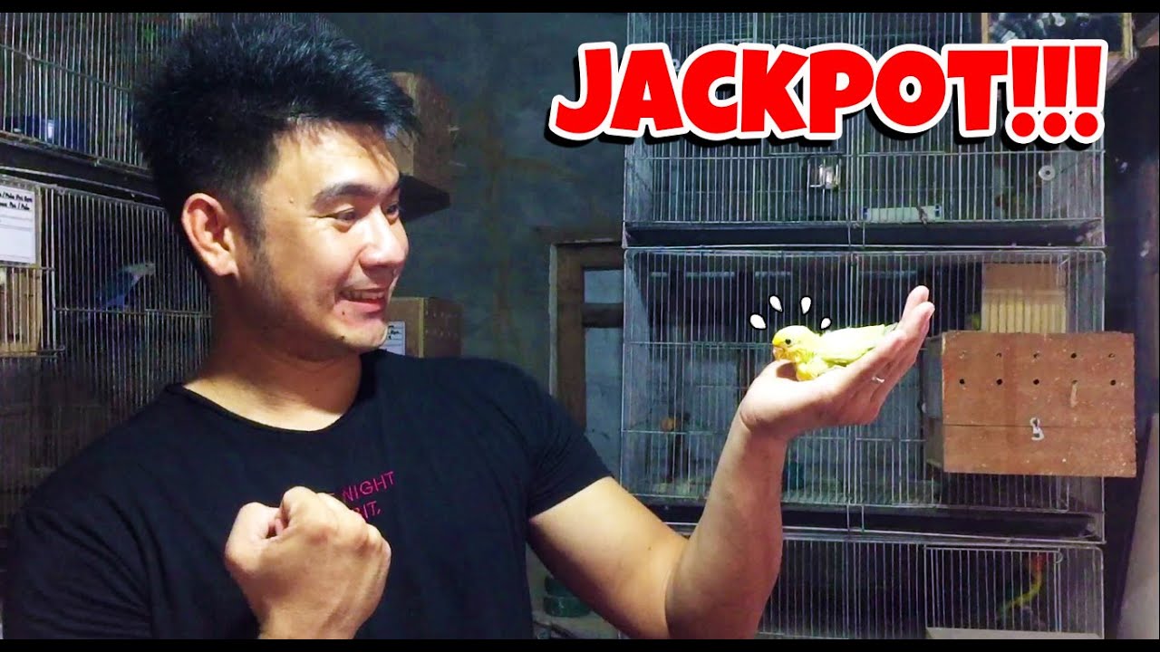 GIFT BIRD REVEAL NI SIR MECKAM NG TEN BIO PROBIOTICS SOBRANG JACKPOT!