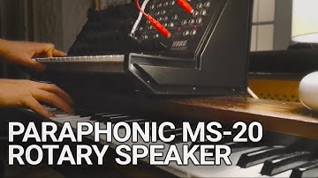 Paraphonic Korg MS-20, Korg CX-3 and Solton Dopplertone