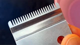 Amazing! How to sharpen the blades of a hair clipper with your own hands