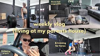 weekly vlog, training to become elite, 12 weeks until the WEDDING & Bruno had surgery !!!!!!