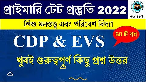 শিশু মনস্তত্ত্ব ও পরিবেশ বিদ্যা CDP & EVS  | প্রাইমারি টেট প্র্যাকটিস 2022 || Math Tricks by Hasnat