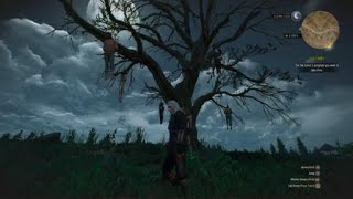 The Witcher 3 Wild Hunt Missable Gwent Card In Velen From White Orchard