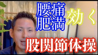 【必見】腰痛、肥満解消に効く「股関節体操」
