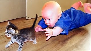 [NEW LIVE]  30 minutes Funniest Babies Meeting Animals For The First Time   II Cool Peachy