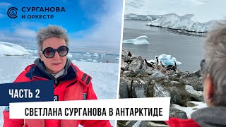 Светлана Сурганова В Антарктиде. Часть 2