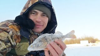 Рыбалка с жерлицами ! Улов есть ! Подмосковье 2018 2019 ! Рыбалка с жерлицами ! Улов есть ! Подмосковье 2018 2019 !