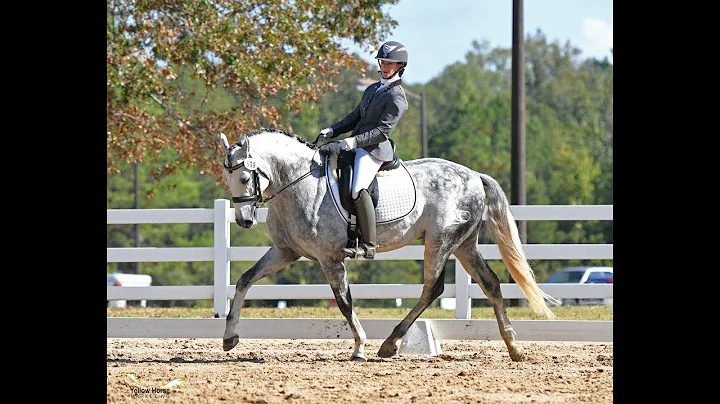 Tina Cook & Carbonero XCVI - 2019 Region 3 Second ...