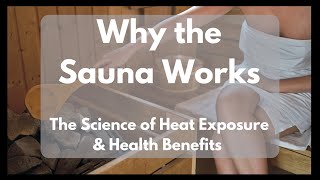🔥 Why the Sauna Works: The Science of Heat Exposure & Health Benefits 🔥