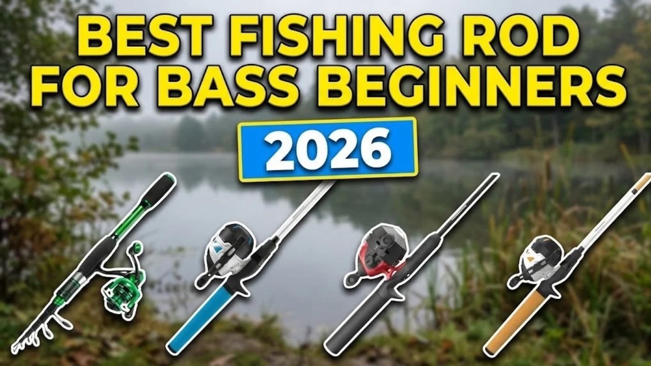 Master Bass Fishing: The Best Beginner Rods for 2026