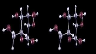Glucose | Molecules that Changed the World