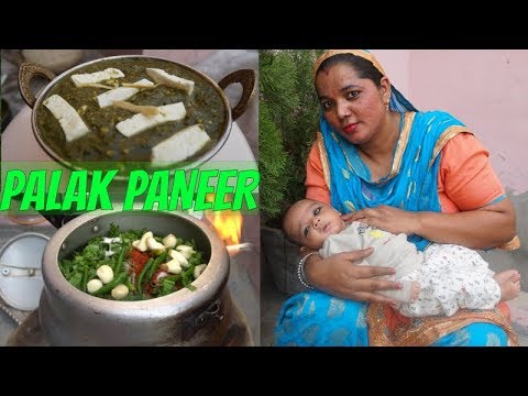 palak-paneer-recipe-|-how-to-make-palak-paneer-|-punjabi