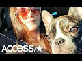 'Teen Mom's' Jenelle Evans Mourns After Husband David Eason Allegedly Shoots & Kills Her Dog
