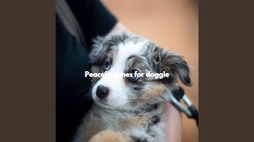 Sparkling Ambience for Private Things