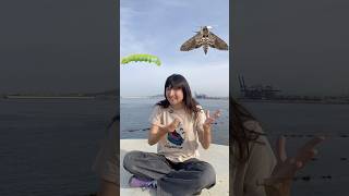 La memoria de las mariposas