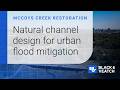 McCoys Creek Restoration Project