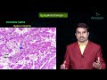 Morphology of Reversible cell injury - General Pathology Animated Lecture -Dr Bhanu prakash
