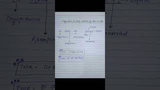 Easy trick to learn evolution of man in order