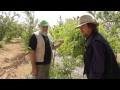 Greening The Desert - MAA International Permaculture