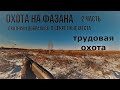 Охота на фазана# с мр-155# часть 2