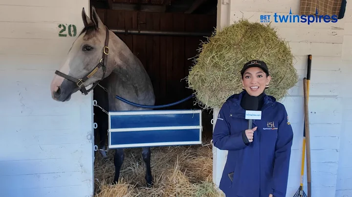 Kentucky Oaks Contender Spotlight - Ballerina D' Oro