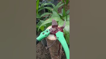 A Simple life hack with a straw! 😍  #diy   #tools #tips #tricks #trending #wood #shorts