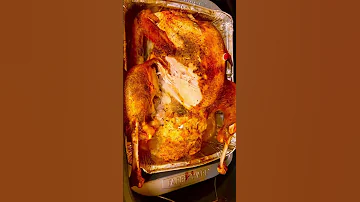 TURKEY SONG Shorts 