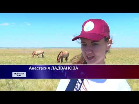 ЭКСКУРСИЯ В ЗАПОВЕДНИК  «ОРЕНБУРГСКИЙ»