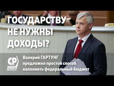 Государству не нужны доходы? Валерий Гартунг предложил простой способ наполнить федеральный бюджет